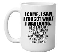 DAJDC I Came I Saw I Forgot Boss Employee Funny Novelty Coffee Mug Cup Sarcastic Gift for Work Office 11 Oz, White Gag Gift (I Came I Saw)