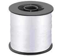 DAJISI Clear Fishing Line, 200M Monofilament Fishing Line 0.8mm 40lb Invisible Nylon Wire Corrosion Protection Fishing Wire for Saltwater Freshwater Fishing Garland Balloon