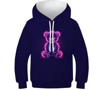 DAKINCHERRY Cute Bear Unisex Kids Hoodie Kids Funny Pullover Hoodie Amazing Animals Long Sleeve Pullover 11-13Y