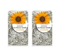 Dakota Salted Black Sunflower Seeds Extra-Large Roasted, 300g, pack of 2 | Toasted Aroma, Easy-Crack Shell, Meaty Kernel, Balanced Salt Finish, Elongated Shape