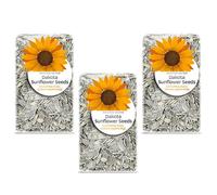 Dakota Salted Black Sunflower Seeds Extra-Large Roasted, 300g, pack of 3 | Toasted Aroma, Easy-Crack Shell, Meaty Kernel, Balanced Salt Finish, Elongated Shape