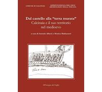 dal_castello_alla_terra_murata-calcinaia_e_il_suo_territorio_nel_medioevo