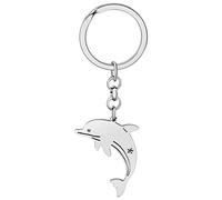 DALANE Stainless Steel Cute Dolphin Keychains Ocean Fish Car Key Ring Gifts Sea Life Jewelry for Women Girls