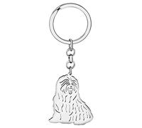 DALANE Stainless Steel English Border Collie Shepherd Dog Keychains Puppy Car Key Ring Charms Gifts for Women Girls