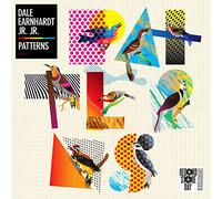 Dale Earnhardt Jr. Jr. - Patterns [VINYL]