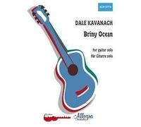 Dale Kavanagh-Briny Ocean-Guitar