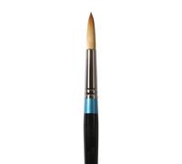 Daler Rowney Aquafine Watercolour Paint Brushes - Assorted Shapes and Sizes