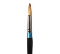 Daler Rowney Aquafine Watercolour Paint Brushes in Assorted Shapes and Sizes