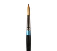 Daler Rowney Aquafine Watercolour Paint Brushes in Assorted Shapes and Sizes