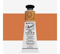Daler-Rowney : Artists' Oil Paint : 38ml : Raw Sienna