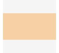 Daler-Rowney : Artists' Soft Pastel : Raw Sienna 2