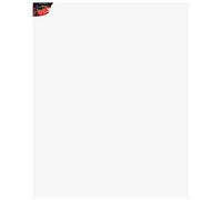 Daler-Rowney Artists' Standard Canvas, Medium Grain, 350 gsm, 28mm frame, 47 x 59in - 120 x 150 cm, White