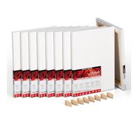Daler-Rowney Artists' Stretched Canvas, Super Bulk Pack 100% Cotton, Pre-Primed, 9 Pack, 12x16, White