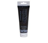 Daler Rowney Graduate Acrylic 120Ml Raw Umber