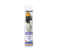 Daler-Rowney Graduate Multi-Technique Synthetic Hair Brushes with Short Handles Wallet Set, Watercolour & Landscape, 5 Assorted Brushes, Ideal for Students
