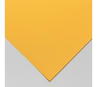 Daler-Rowney : Murano : Pastel Paper : 50x65cm (Apx.20x26in) : Pineapple