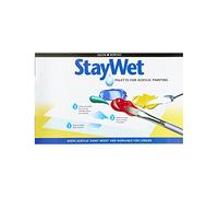 Daler-Rowney Staywet Palette Large, 10.1 x 14in, Keeps Paint Wet, Ideal for Professional Artists, Students & Hobbyists
