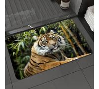 DALEXHM Microfibre Bath Mat, Door Mat, Pet Mat,Bathroom Rug Machine Washable,Non-slip,Super absorbent,Extra Soft,Tiger rests in the wild. Eye contact with camera.,16x24in