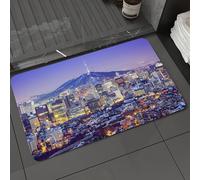 DALEXHM Microfibre Bath Mat, Door Mat, Pet Mat,Bathroom Rug Machine Washable,Non-slip,Super absorbent,Extra Soft,Seoul South Korea city skyline at twilight.,20x31in