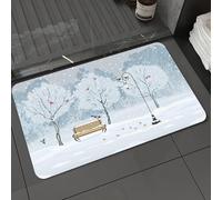 DALEXHM Microfibre Bath Mat, Door Mat, Pet Mat,Bathroom Rug Machine Washable,Non-slip,Super absorbent,Extra Soft,Silent falling of snow in the park with various birds,20x31in