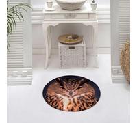 DALEXHM Microfibre Bath Mat, Door Mat, Pet Mat,Bathroom Rug Machine Washable,Non-slip,Super absorbent,Extra Soft,Blue Owl, a sharp-looking image under the dark curtain,24x24in