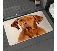 DALEXHM Microfibre Bath Mat, Door Mat, Pet Mat,Bathroom Rug Machine Washable,Non-slip,Super absorbent,Extra Soft,Portrait of an adorable magyar vizsla looking curiously at the camera - isolat,20x31in
