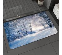 DALEXHM Microfibre Bath Mat, Door Mat, Pet Mat,Bathroom Rug Machine Washable,Non-slip,Super absorbent,Extra Soft,Winter, alley in the snowy forest Frosty cold weather Rural nature outdoors Fo,20x31in