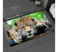 DALEXHM Microfibre Bath Mat, Door Mat, Pet Mat,Bathroom Rug Machine Washable,Non-slip,Super absorbent,Extra Soft,South American Jungle Jaguar Wild Animal Carnivore Track Image,20x31in