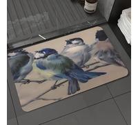 DALEXHM Microfibre Bath Mat, Door Mat, Pet Mat,Bathroom Rug Machine Washable,Non-slip,Super absorbent,Extra Soft,Birds, a group of colorful birds perched on the branches, showing the beautifu,24x39in
