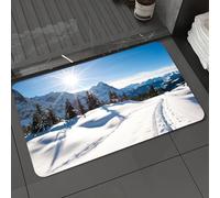 DALEXHM Microfibre Bath Mat, Door Mat, Pet Mat,Bathroom Rug Machine Washable,Non-slip,Super absorbent,Extra Soft,Panoramic scenery above Grindelwald Switzerland in winter,20x31in