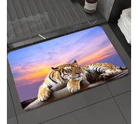 DALEXHM Microfibre Bath Mat, Door Mat, Pet Mat,Bathroom Rug Machine Washable,Non-slip,Super absorbent,Extra Soft,Tiger looking something on the rock with beautiful sky at sunset time,24x39in