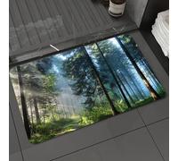 DALEXHM Microfibre Bath Mat, Door Mat, Pet Mat,Bathroom Rug Machine Washable,Non-slip,Super absorbent,Extra Soft,The morning forest path shrouded in fog by the trees,16x24in
