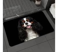 DALEXHM Microfibre Bath Mat, Door Mat, Pet Mat,Bathroom Rug Machine Washable,Non-slip,Super absorbent,Extra Soft,Portrait of Cavalier King Charles Spaniel Dog on Isolated Black Background,16x24in