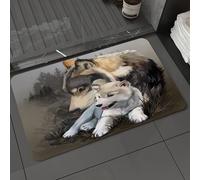 DALEXHM Microfibre Bath Mat, Door Mat, Pet Mat,Bathroom Rug Machine Washable,Non-slip,Super absorbent,Extra Soft,Wolf cub and his mother. watercolor drawing,20x31in