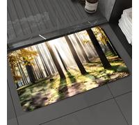 DALEXHM Microfibre Bath Mat, Door Mat, Pet Mat,Bathroom Rug Machine Washable,Non-slip,Super absorbent,Extra Soft,Autumn, forest, Tyndall light, morning mist, shadows and light,24x39in