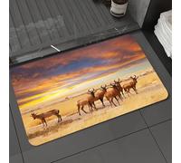 DALEXHM Microfibre Bath Mat, Door Mat, Pet Mat,Bathroom Rug Machine Washable,Non-slip,Super absorbent,Extra Soft,Safari scenery, Antelope crowd on ows at sunset Photo of Afri wildlife,20x31in