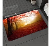 DALEXHM Microfibre Bath Mat, Door Mat, Pet Mat,Bathroom Rug Machine Washable,Non-slip,Super absorbent,Extra Soft,path in a beautiful autumn golden forest,20x31in