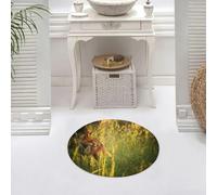 DALEXHM Microfibre Bath Mat, Door Mat, Pet Mat,Bathroom Rug Machine Washable,Non-slip,Super absorbent,Extra Soft,Washable placemats, fox fox in the summer forest fresh ow gra,24x24in