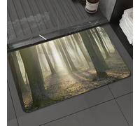 DALEXHM Microfibre Bath Mat, Door Mat, Pet Mat,Bathroom Rug Machine Washable,Non-slip,Super absorbent,Extra Soft,Morning mist in the forest, forest, Daintear light, nature,20x31in