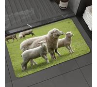 DALEXHM Microfibre Bath Mat, Door Mat, Pet Mat,Bathroom Rug Machine Washable,Non-slip,Super absorbent,Extra Soft,The mother sheep and her little lamb in the pasture，Sheep on the grassland，Cut,20x31in