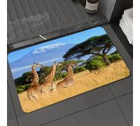 DALEXHM Microfibre Bath Mat, Door Mat, Pet Mat,Bathroom Rug Machine Washable,Non-slip,Super absorbent,Extra Soft,National Park of Kenya Africa Wildlife Animal Nature Safari Giraffes in the mo,20x31in