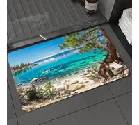 DALEXHM Microfibre Bath Mat, Door Mat, Pet Mat,Bathroom Rug Machine Washable,Non-slip,Super absorbent,Extra Soft,Lake Tahoe Snowy Mountain Reflection On Clear Water Rocky Shore Romantic,20x31in