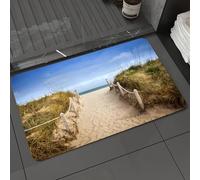 DALEXHM Microfibre Bath Mat, Door Mat, Pet Mat,Bathroom Rug Machine Washable,Non-slip,Super absorbent,Extra Soft,Footpath through dunes to the beach and old wooden pier Baltic See Germany,24x39in