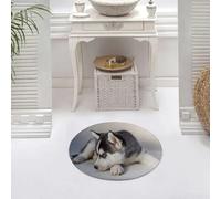 DALEXHM Microfibre Bath Mat, Door Mat, Pet Mat,Bathroom Rug Machine Washable,Non-slip,Super absorbent,Extra Soft,The husky is lying lazily on the ground.,24x24in