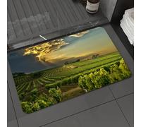 DALEXHM Microfibre Bath Mat, Door Mat, Pet Mat,Bathroom Rug Machine Washable,Non-slip,Super absorbent,Extra Soft,Sunset over the vineyards of Southern France. Sunbeams. Cloudscape. Print imag,20x31in