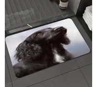 DALEXHM Microfibre Bath Mat, Door Mat, Pet Mat,Bathroom Rug Machine Washable,Non-slip,Super absorbent,Extra Soft,Animal, mysterious black dog portrait, long ears and soul-filled eyes staring,16x24in