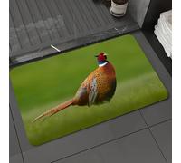 DALEXHM Microfibre Bath Mat, Door Mat, Pet Mat,Bathroom Rug Machine Washable,Non-slip,Super absorbent,Extra Soft,Common Pheasant bird with long tail on the green grass ow animal in the nature,16x24in