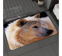 DALEXHM Microfibre Bath Mat, Door Mat, Pet Mat,Bathroom Rug Machine Washable,Non-slip,Super absorbent,Extra Soft,Animal, a light-colored portrait of a wolf, with dazzling eyes, exuding power,24x39in