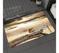 DALEXHM Microfibre Bath Mat, Door Mat, Pet Mat,Bathroom Rug Machine Washable,Non-slip,Super absorbent,Extra Soft,Safari Set, Leopard Resting Under Dramatic Cloudy Sky, Africa Safari Wild Cats,24x39in