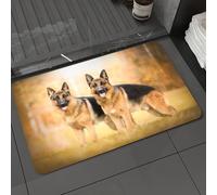 DALEXHM Microfibre Bath Mat, Door Mat, Pet Mat,Bathroom Rug Machine Washable,Non-slip,Super absorbent,Extra Soft,The image of the shepherd dog companion against a golden background,16x24in